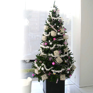 クリスマスツリー レンタル 国内最大級の品揃えエイトレント